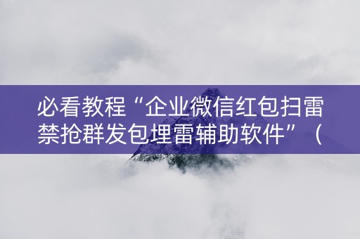 必看教程“企业微信红包扫雷禁抢群发包埋雷辅助软件”（详细透视教程）-哔哩哔哩