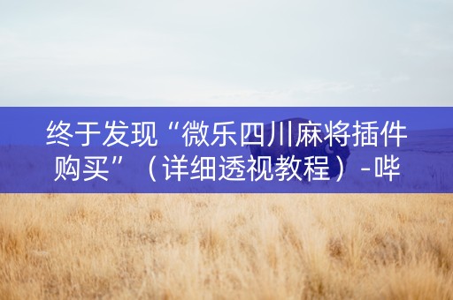 终于发现“微乐四川麻将插件购买”（详细透视教程）-哔哩哔哩