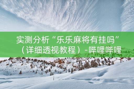 实测分析“乐乐麻将有挂吗”（详细透视教程）-哔哩哔哩