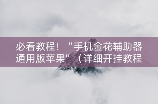 必看教程！“手机金花辅助器通用版苹果”（详细开挂教程）-哔哩哔哩