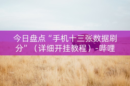今日盘点“手机十三张数据刷分”（详细开挂教程）-哔哩哔哩