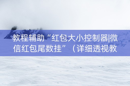 教程辅助“红包大小控制器|微信红包尾数挂”（详细透视教程）-哔哩哔哩