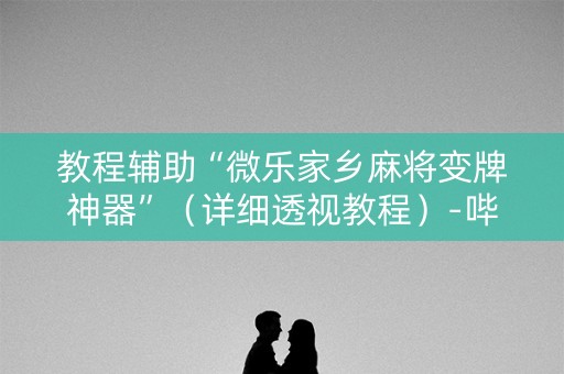 教程辅助“微乐家乡麻将变牌神器”（详细透视教程）-哔哩哔哩