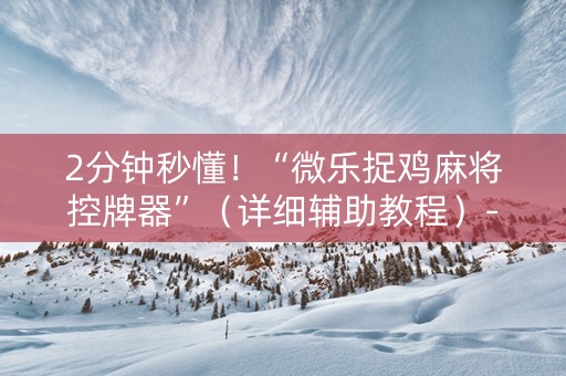 2分钟秒懂！“微乐捉鸡麻将控牌器”（详细辅助教程）-哔哩哔哩