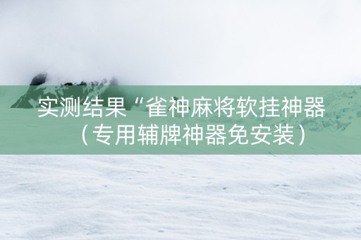 实测结果“雀神麻将软挂神器（专用辅牌神器免安装）