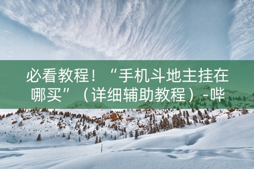 必看教程！“手机斗地主挂在哪买”（详细辅助教程）-哔哩哔哩