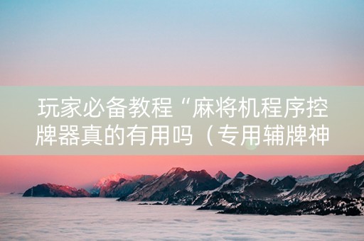 玩家必备教程“麻将机程序控牌器真的有用吗（专用辅牌神器免安装）