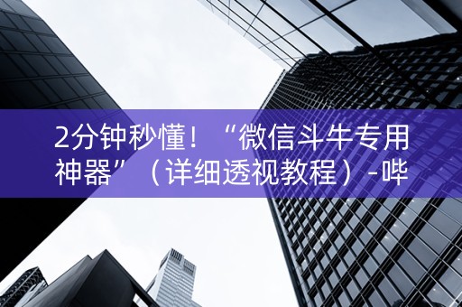 2分钟秒懂！“微信斗牛专用神器”（详细透视教程）-哔哩哔哩