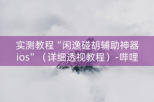 实测教程“闲逸碰胡辅助神器ios”（详细透视教程）-哔哩哔哩