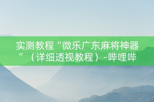 实测教程“微乐广东麻将神器”（详细透视教程）-哔哩哔哩