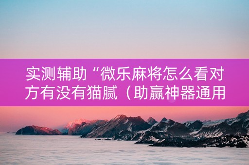 实测辅助“微乐麻将怎么看对方有没有猫腻（助赢神器通用版）