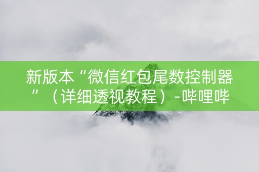 新版本“微信红包尾数控制器”（详细透视教程）-哔哩哔哩