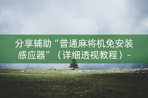 分享辅助“普通麻将机免安装感应器”（详细透视教程）-哔哩哔哩