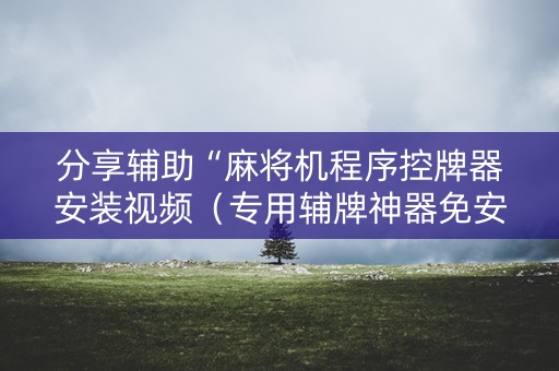 分享辅助“麻将机程序控牌器安装视频（专用辅牌神器免安装）