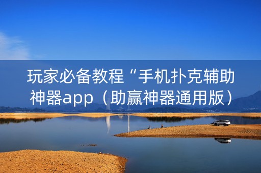 玩家必备教程“手机扑克辅助神器app（助赢神器通用版）