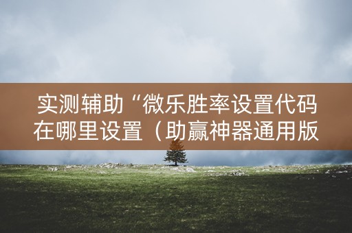 实测辅助“微乐胜率设置代码在哪里设置（助赢神器通用版）