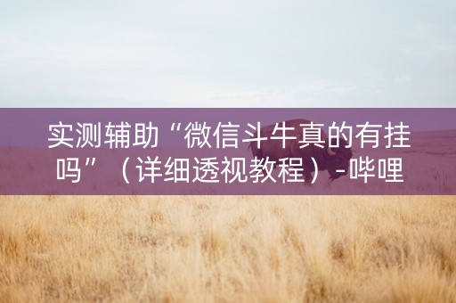 实测辅助“微信斗牛真的有挂吗”（详细透视教程）-哔哩哔哩