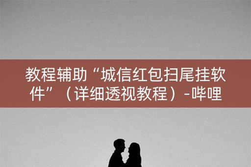 教程辅助“城信红包扫尾挂软件”（详细透视教程）-哔哩哔哩