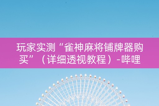 玩家实测“雀神麻将铺牌器购买”（详细透视教程）-哔哩哔哩