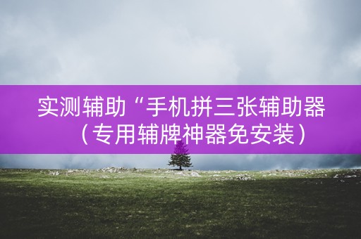实测辅助“手机拼三张辅助器（专用辅牌神器免安装）