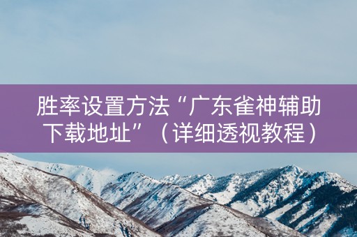 胜率设置方法“广东雀神辅助下载地址”（详细透视教程）-哔哩哔哩