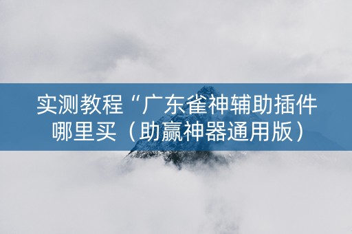 实测教程“广东雀神辅助插件哪里买（助赢神器通用版）