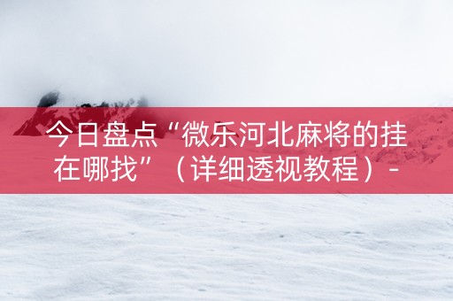 今日盘点“微乐河北麻将的挂在哪找”（详细透视教程）-哔哩哔哩