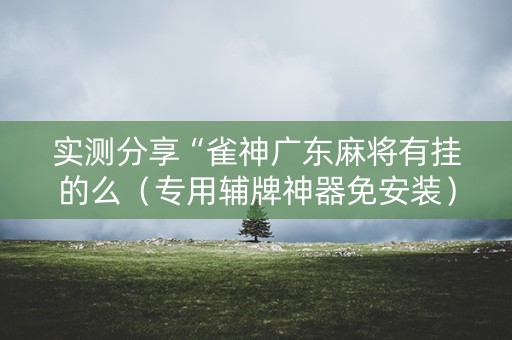 实测分享“雀神广东麻将有挂的么（专用辅牌神器免安装）