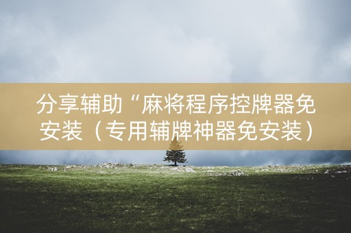 分享辅助“麻将程序控牌器免安装（专用辅牌神器免安装）