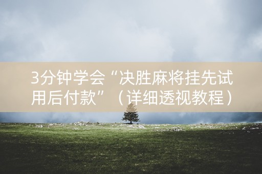 3分钟学会“决胜麻将挂先试用后付款”（详细透视教程）-哔哩哔哩