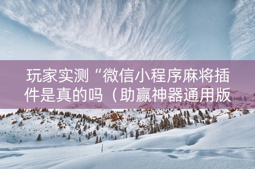 玩家实测“微信小程序麻将插件是真的吗（助赢神器通用版）