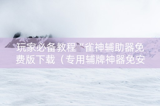 玩家必备教程“雀神辅助器免费版下载（专用辅牌神器免安装）