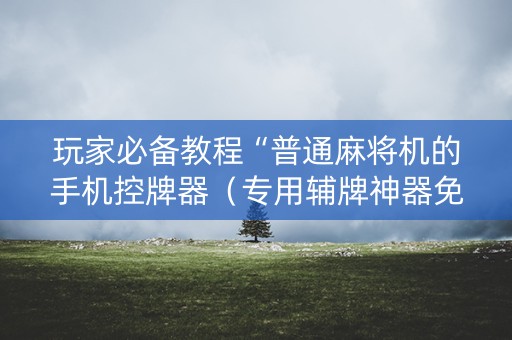 玩家必备教程“普通麻将机的手机控牌器（专用辅牌神器免安装）