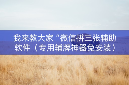 我来教大家“微信拼三张辅助软件（专用辅牌神器免安装）