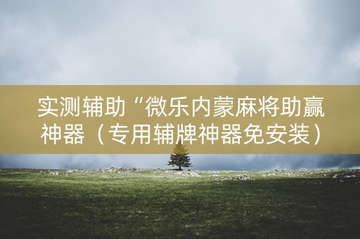 实测辅助“微乐内蒙麻将助赢神器（专用辅牌神器免安装）