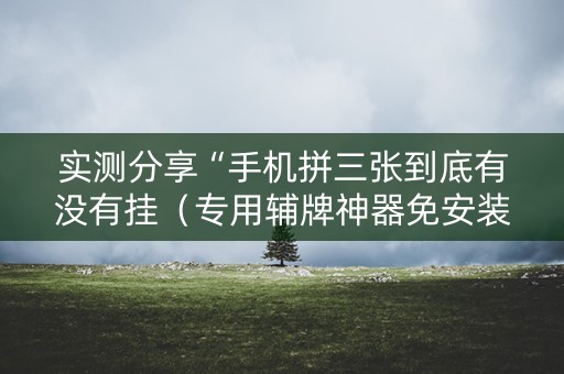 实测分享“手机拼三张到底有没有挂（专用辅牌神器免安装）