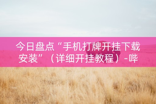 今日盘点“手机打牌开挂下载安装”（详细开挂教程）-哔哩哔哩