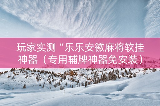 玩家实测“乐乐安徽麻将软挂神器（专用辅牌神器免安装）