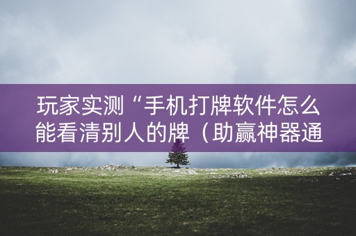 玩家实测“手机打牌软件怎么能看清别人的牌（助赢神器通用版）