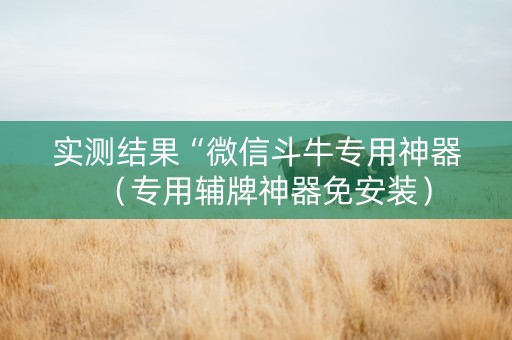 实测结果“微信斗牛专用神器（专用辅牌神器免安装）