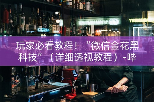 玩家必看教程！“微信金花黑科技”（详细透视教程）-哔哩哔哩