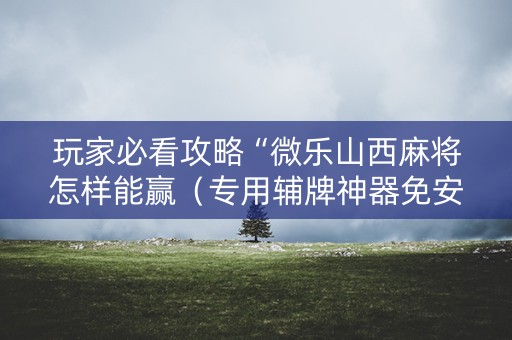 玩家必看攻略“微乐山西麻将怎样能赢（专用辅牌神器免安装）