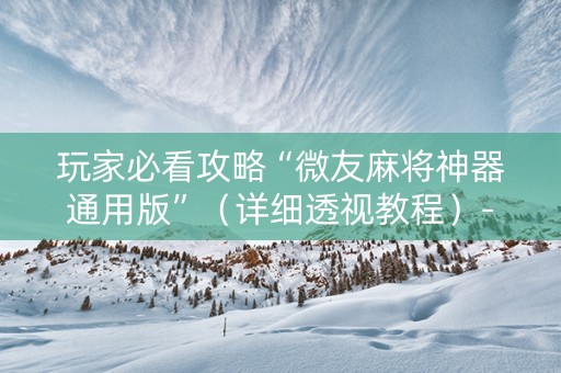 玩家必看攻略“微友麻将神器通用版”（详细透视教程）-哔哩哔哩