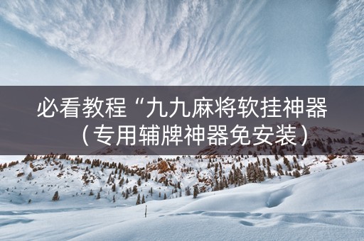必看教程“九九麻将软挂神器（专用辅牌神器免安装）