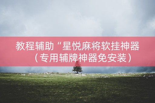 教程辅助“星悦麻将软挂神器（专用辅牌神器免安装）