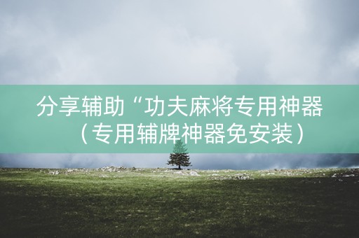 分享辅助“功夫麻将专用神器（专用辅牌神器免安装）