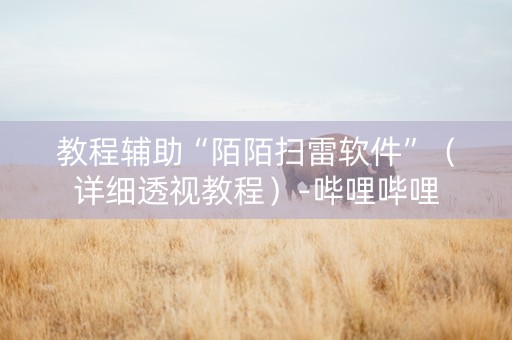 教程辅助“陌陌扫雷软件”（详细透视教程）-哔哩哔哩