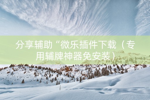 分享辅助“微乐插件下载（专用辅牌神器免安装）