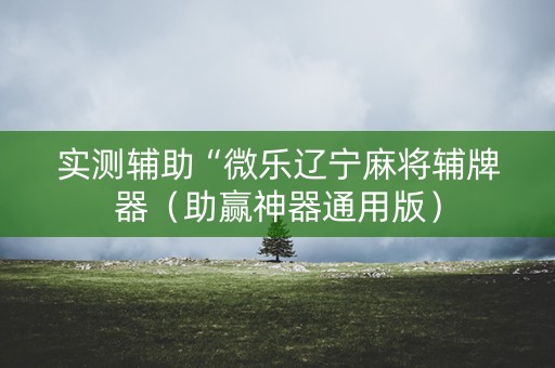 实测辅助“微乐辽宁麻将辅牌器（助赢神器通用版）