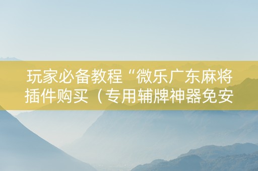 玩家必备教程“微乐广东麻将插件购买（专用辅牌神器免安装）